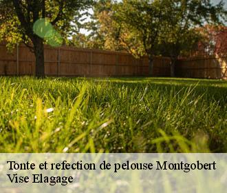 Tonte et refection de pelouse  montgobert-02600 Vise Elagage
