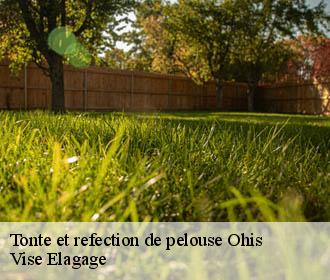 Tonte et refection de pelouse  ohis-02500 Vise Elagage