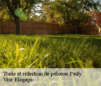 Tonte et refection de pelouse  pasly-02200 Vise Elagage
