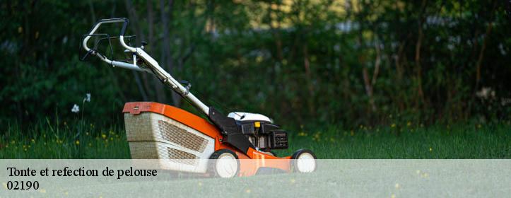 Tonte et refection de pelouse  02190