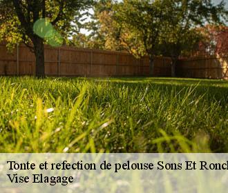 Tonte et refection de pelouse  sons-et-roncheres-02270 Vise Elagage