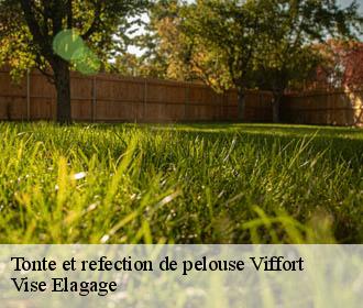 Tonte et refection de pelouse  viffort-02540 Vise Elagage