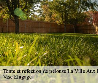 Tonte et refection de pelouse  la-ville-aux-bois-les-pontavert-02160 Vise Elagage
