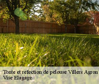 Tonte et refection de pelouse  villers-agron-aiguizy-02130 Vise Elagage