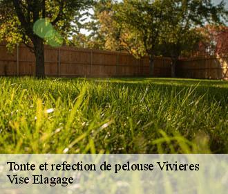 Tonte et refection de pelouse  vivieres-02600 Vise Elagage