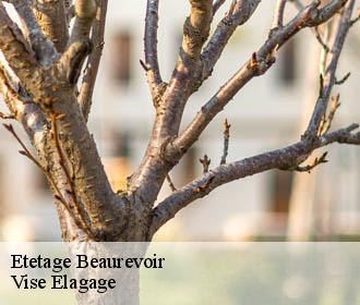 Etetage  beaurevoir-02110 Vise Elagage