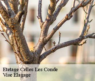 Etetage  celles-les-conde-02330 Vise Elagage
