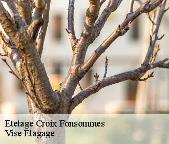 Etetage  croix-fonsommes-02110 Vise Elagage