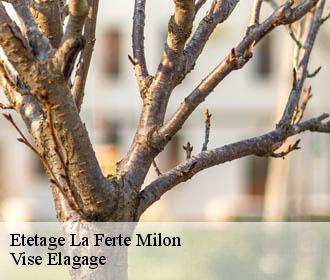 Etetage  la-ferte-milon-02460 Vise Elagage