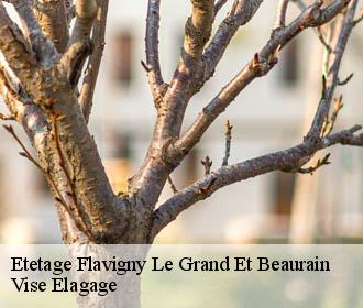 Etetage  flavigny-le-grand-et-beaurain-02120 Vise Elagage