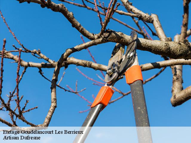 Etetage goudelancourt-les-berrieux-02820 Artisan Dufresne