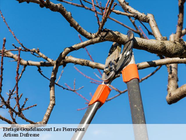 Etetage goudelancourt-les-pierrepont-02350 Artisan Dufresne