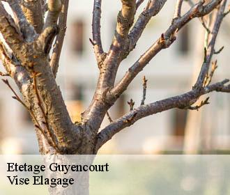 Etetage  guyencourt-02160 Vise Elagage