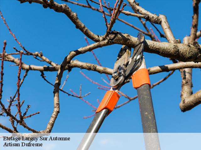 Etetage  largny-sur-automne-02600 Artisan Dufresne