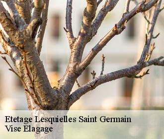 Etetage  lesquielles-saint-germain-02120 Vise Elagage