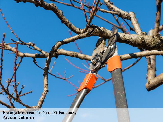 Etetage monceau-le-neuf-et-faucouzy-02270 Artisan Dufresne