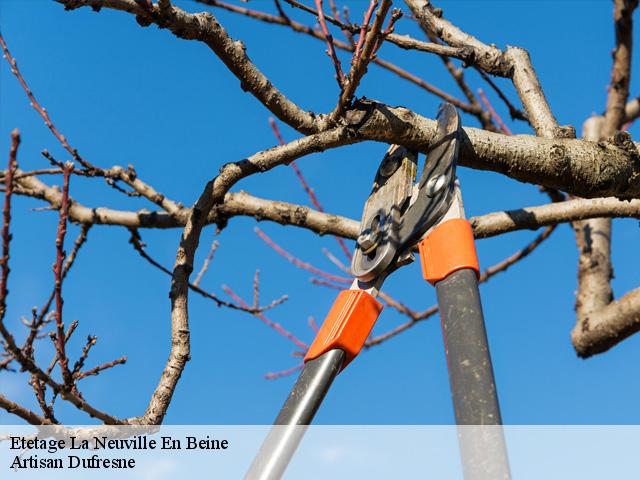 Etetage  la-neuville-en-beine-02300 Artisan Dufresne