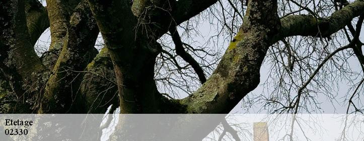 Etetage  02330