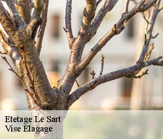 Etetage  le-sart-02450 Vise Elagage
