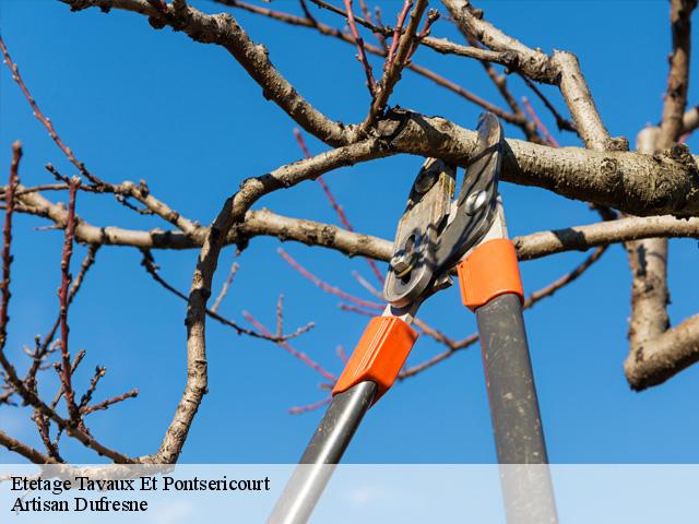 Etetage tavaux-et-pontsericourt-02250 Artisan Dufresne