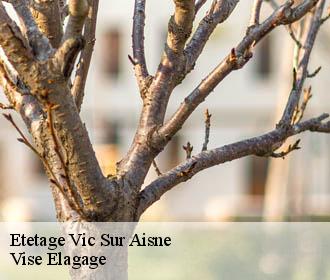 Etetage  vic-sur-aisne-02290 Vise Elagage