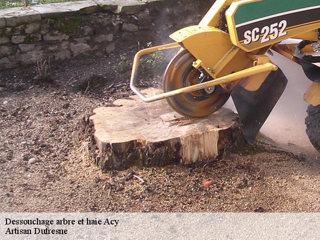 Dessouchage arbre et haie  acy-02200 Artisan Dufresne