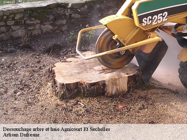 Dessouchage arbre et haie  agnicourt-et-sechelles-02340 Artisan Dufresne