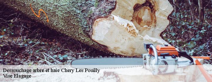 Dessouchage arbre et haie  02000