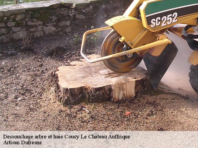 Dessouchage arbre et haie  coucy-le-chateau-auffrique-02380 Artisan Dufresne