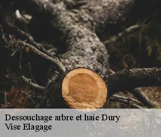 Dessouchage arbre et haie  dury-02480 Vise Elagage