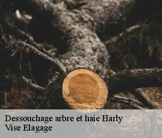 Dessouchage arbre et haie  harly-02100 Vise Elagage