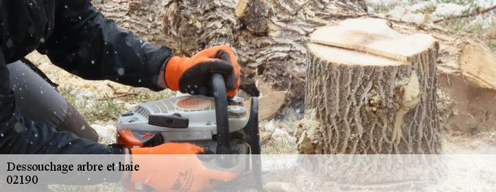 Dessouchage arbre et haie  02190