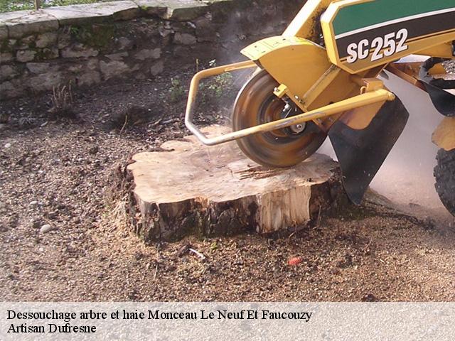 Dessouchage arbre et haie monceau-le-neuf-et-faucouzy-02270 Artisan Dufresne