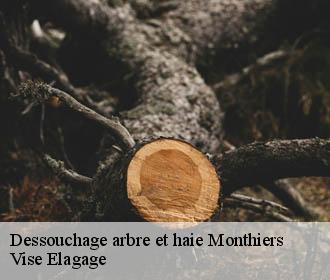 Dessouchage arbre et haie  monthiers-02400 Vise Elagage