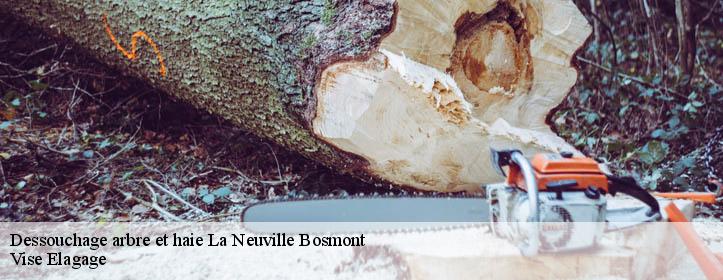 Dessouchage arbre et haie  02250