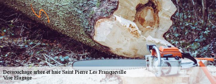Dessouchage arbre et haie  02140