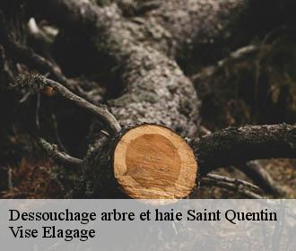 Dessouchage arbre et haie  saint-quentin-02100 Vise Elagage