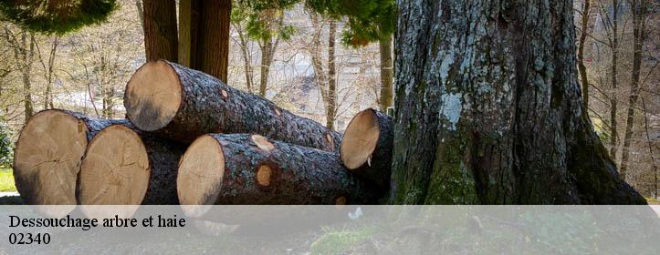 Dessouchage arbre et haie  02340