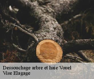 Dessouchage arbre et haie  vouel-02700 Vise Elagage