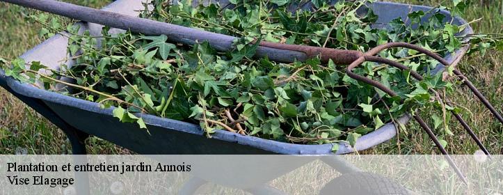 Plantation et entretien jardin  02480