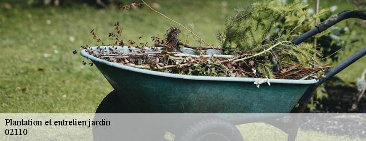 Plantation et entretien jardin  02110