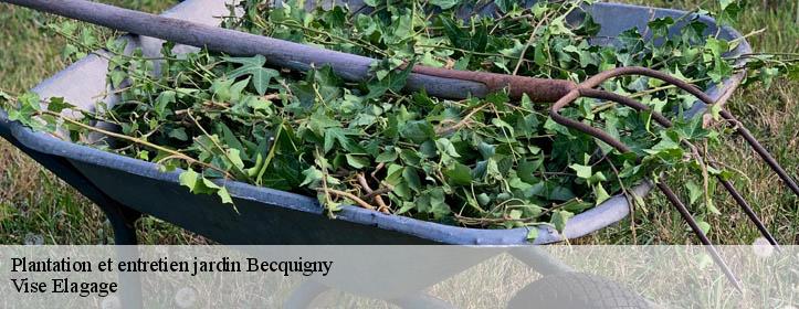 Plantation et entretien jardin  02110
