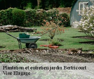 Plantation et entretien jardin  bertricourt-02190 Vise Elagage