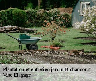 Plantation et entretien jardin  bichancourt-02300 Vise Elagage