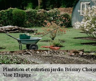 Plantation et entretien jardin  brissay-choigny-02240 Vise Elagage