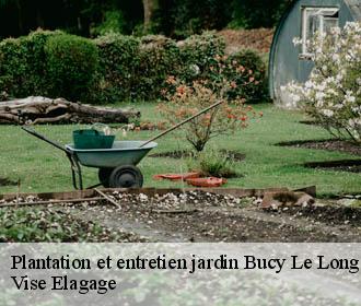 Plantation et entretien jardin  bucy-le-long-02880 Vise Elagage