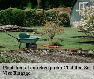 Plantation et entretien jardin  chatillon-sur-oise-02240 Vise Elagage
