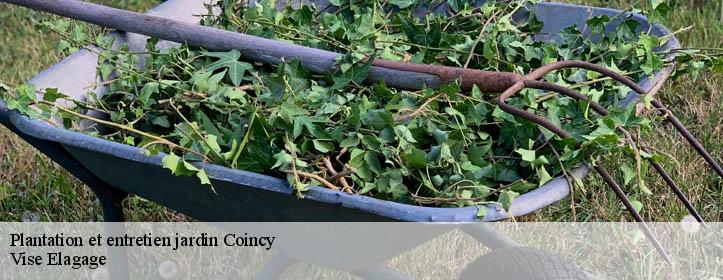 Plantation et entretien jardin  02210