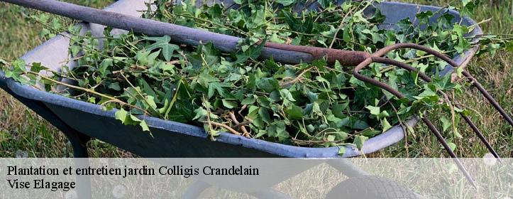 Plantation et entretien jardin  02860