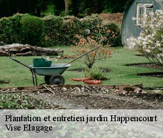 Plantation et entretien jardin  happencourt-02480 Vise Elagage